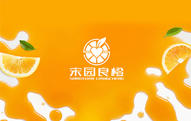 某良橙——泸州LOGO设计
