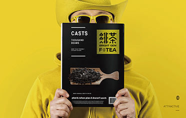 泸州绯茶品牌设计